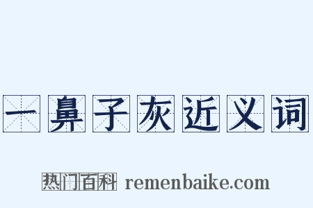 一鼻子灰近义词是什么意思的图片